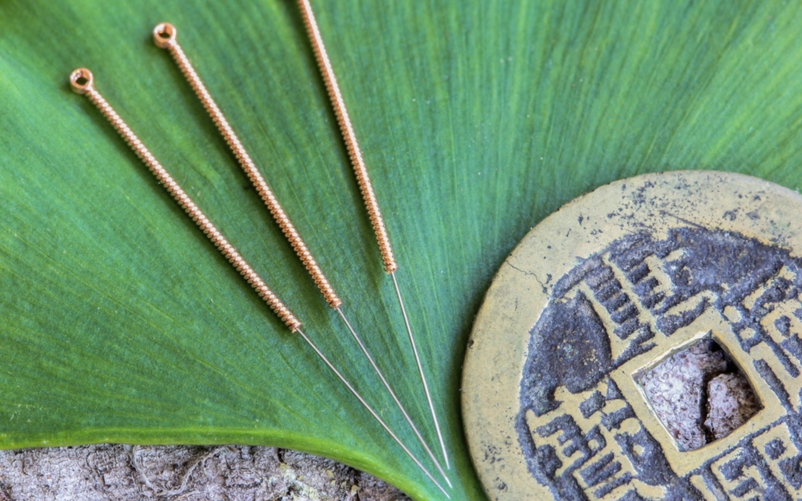 Conoces cuáles son los 5 elementos de la medicina tradicional china